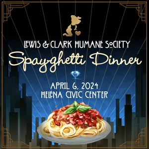 Spayghetti Auction 2024 - logo